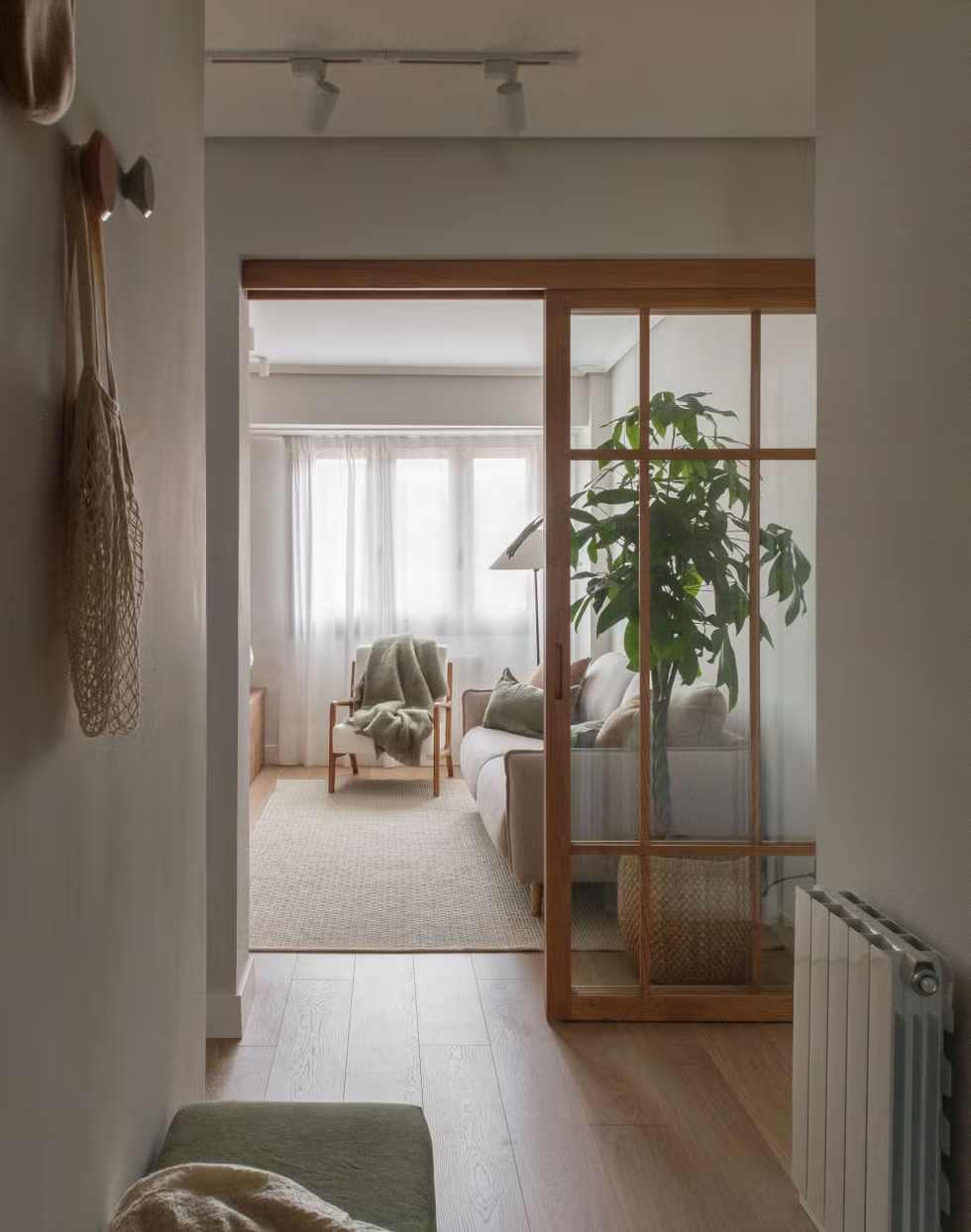 salon décoration contemporaine naturelle deux-pièces 50m2 avec porte verrière