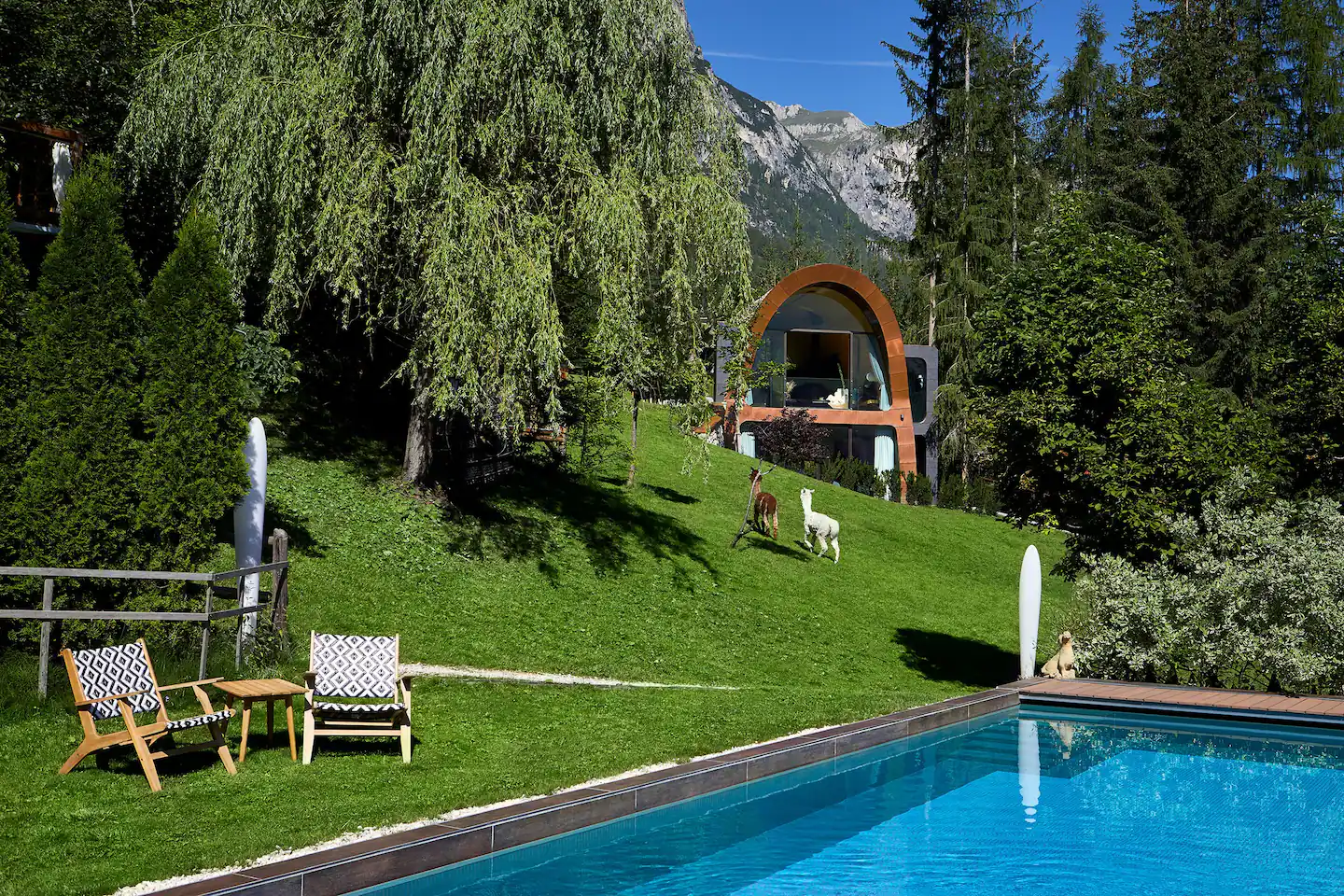 jardin avec piscine jardin avec piscine