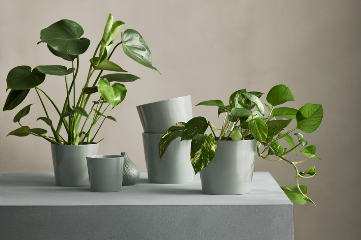catalogue IKEA 2025