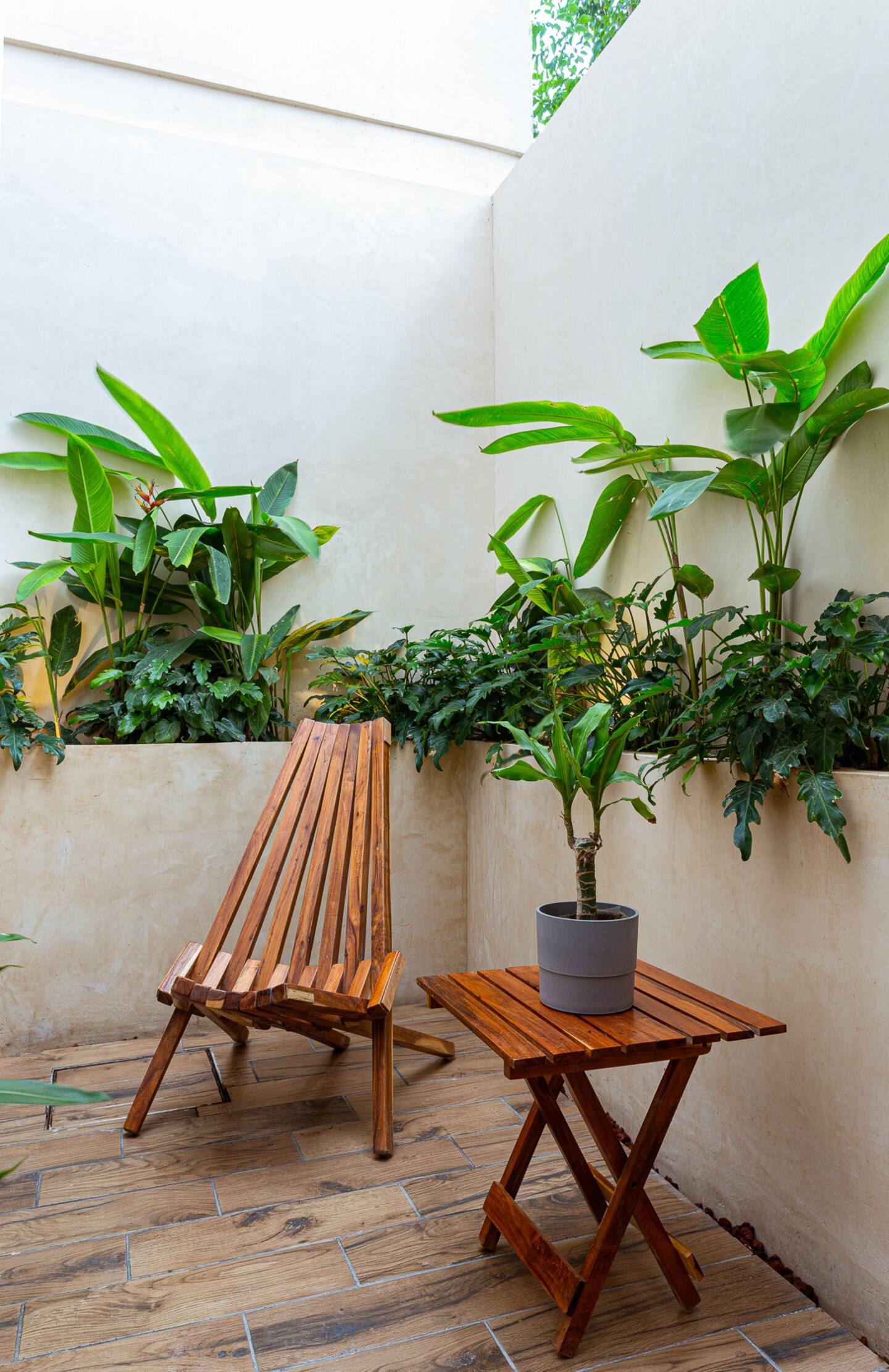 jardin Merida Mexique Casa Manguito jardin Merida Mexique Casa Manguito