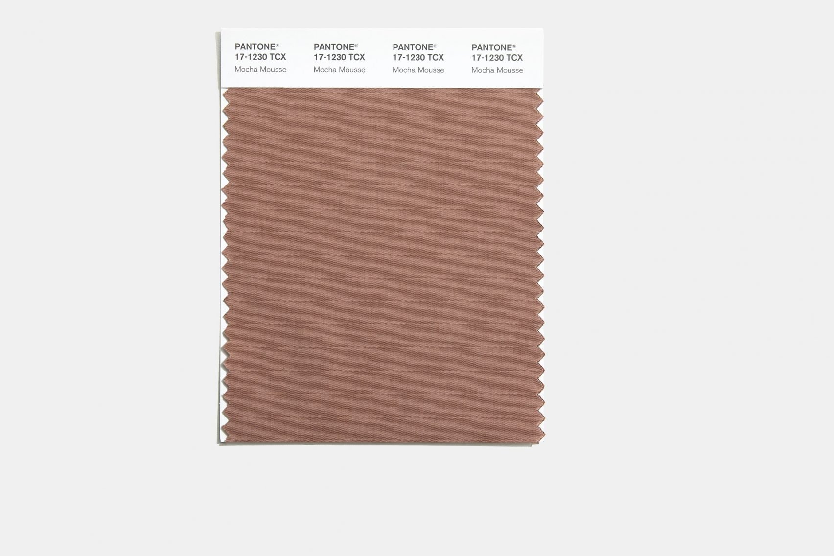 couleur Mocha Mousse couleur PANTONE 2025 couleur Mocha Mousse couleur PANTONE 2025