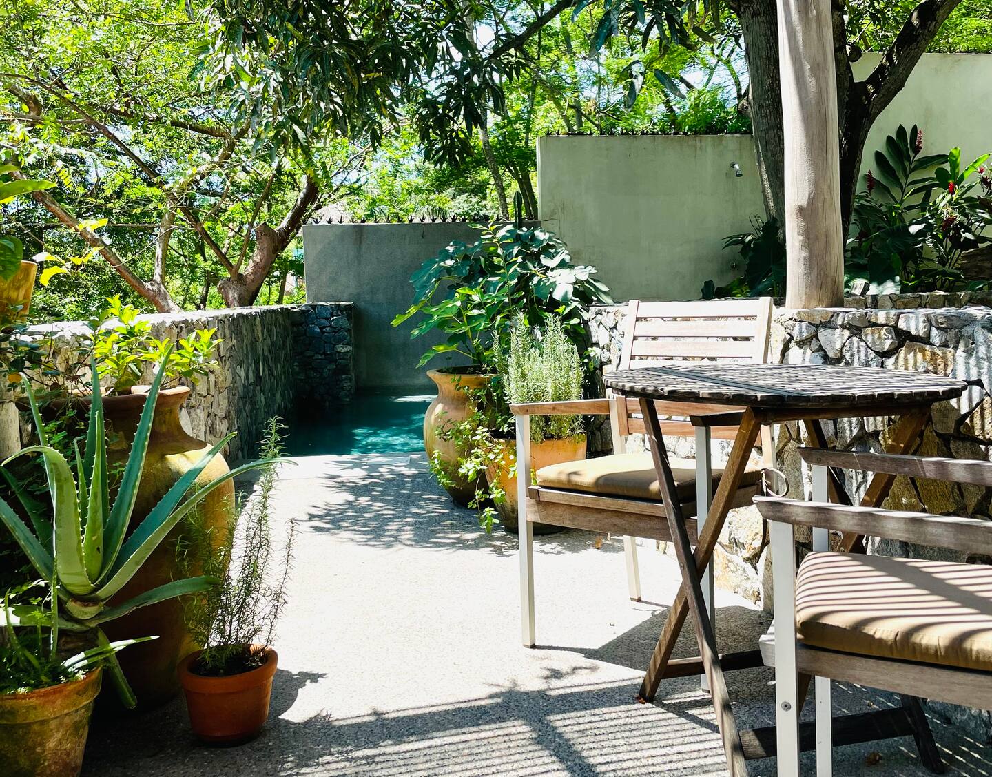 jardin petite maison avec piscine Mexique Sayulita Casita Los Grillos