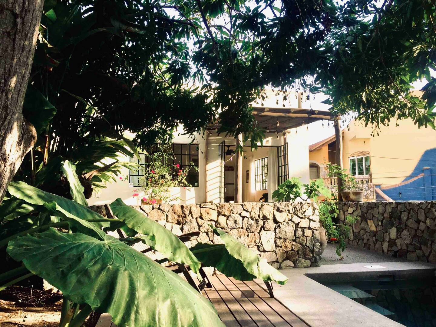 jardin petite maison avec piscine Mexique Sayulita Casita Los Grillos