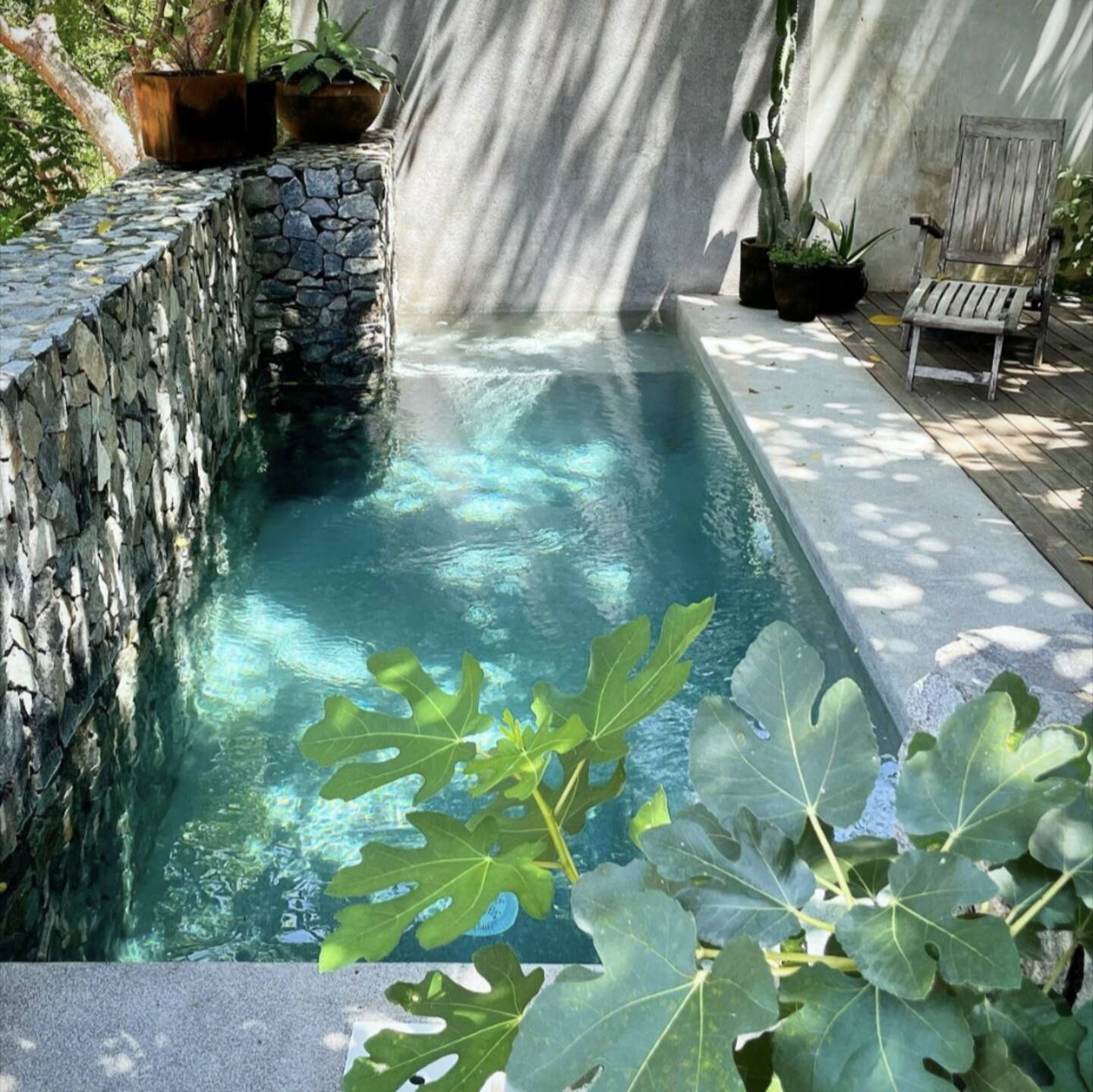 jardin petite maison avec piscine Mexique Sayulita Casita Los Grillos