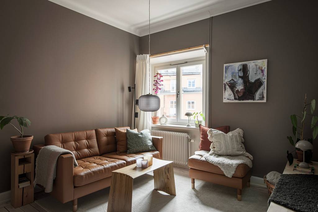 salon studio de 27m2 aux murs couleur Mocha Mousse salon studio de 27m2 aux murs couleur Mocha Mousse