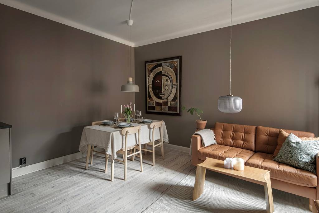 salon studio de 27m2 aux murs couleur Mocha Mousse salon studio de 27m2 aux murs couleur Mocha Mousse