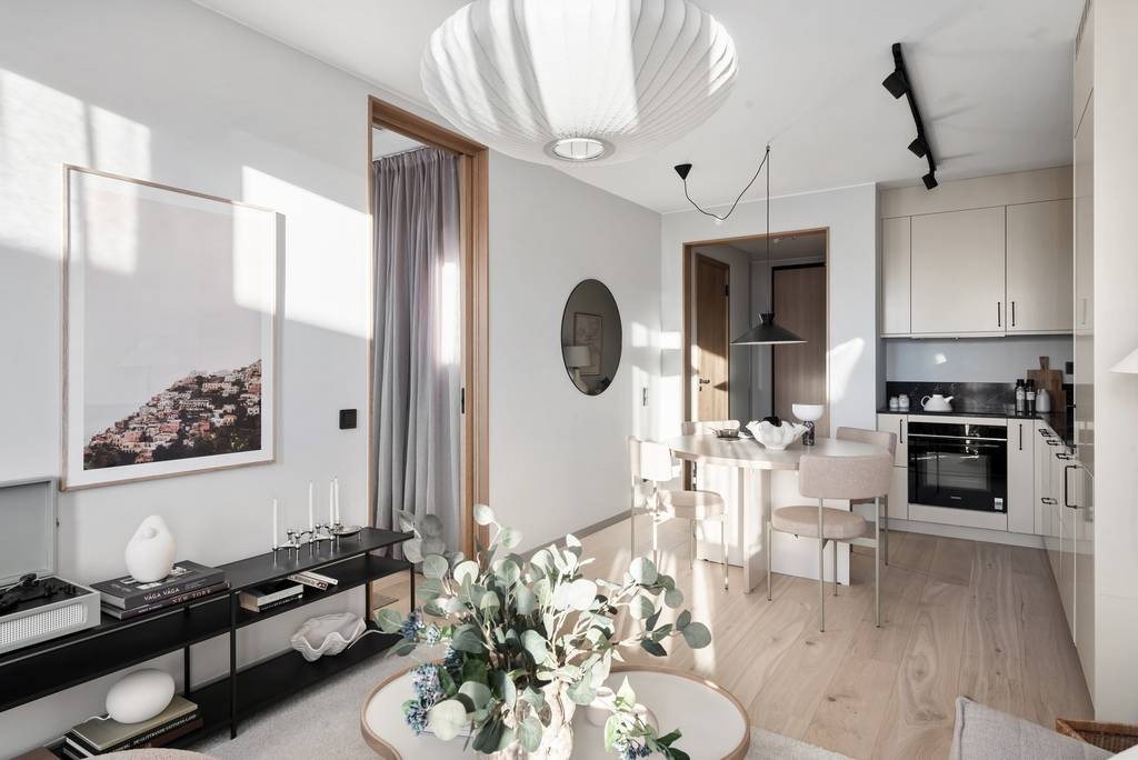 salon décoration scandinave deux-pièces 45m2