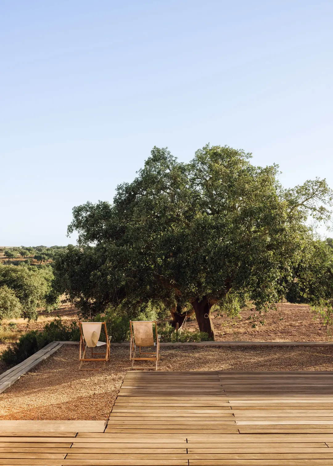 jardin maison architecte
