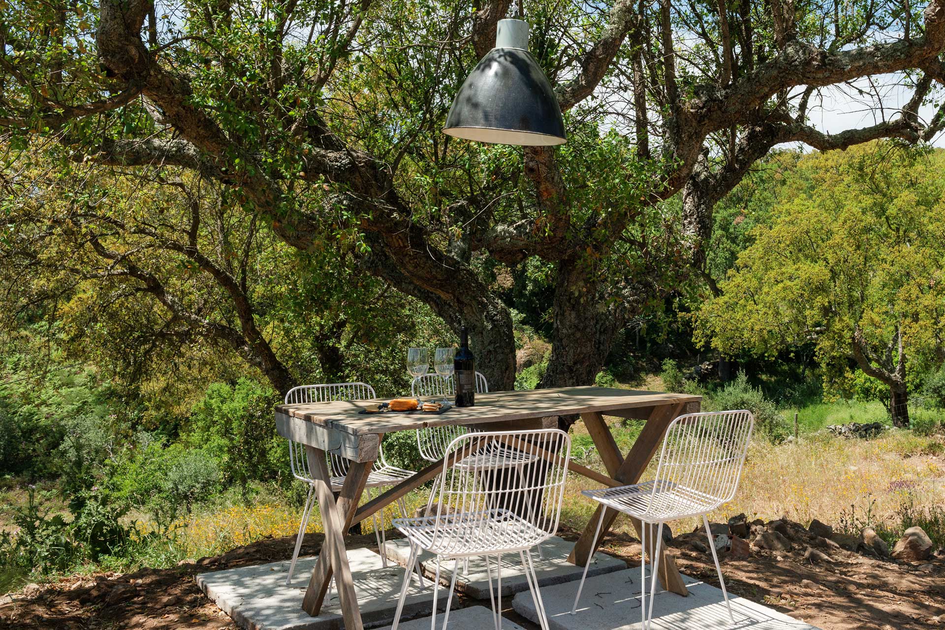 jardin avec chêne liège et chênes verts Vigias jardin avec chêne liège et chênes verts Vigias