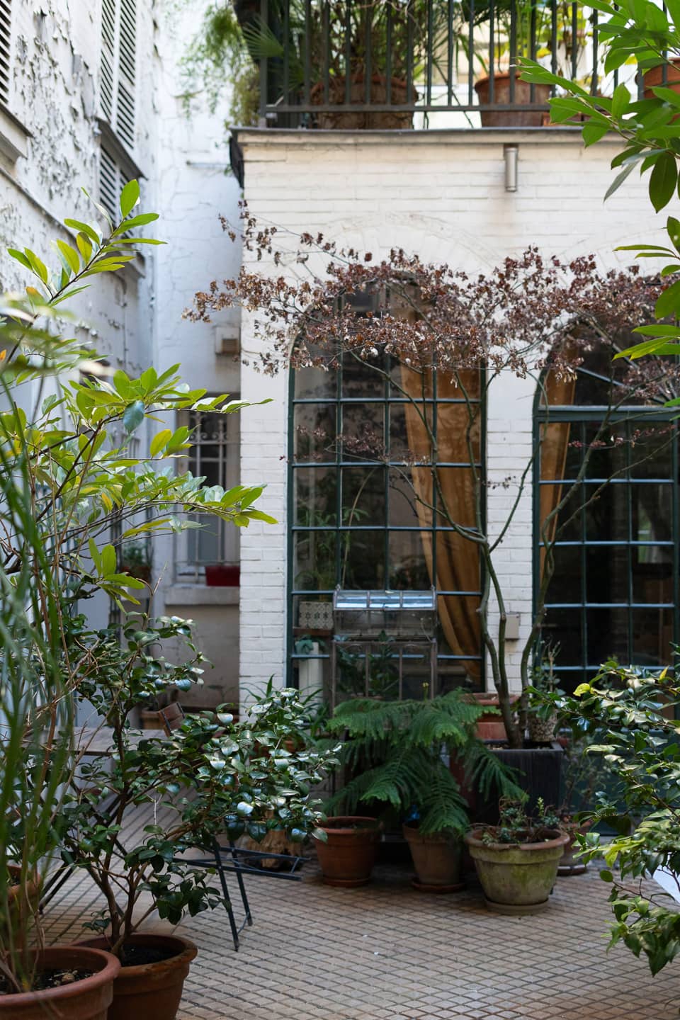 cour arborée immeuble Paris