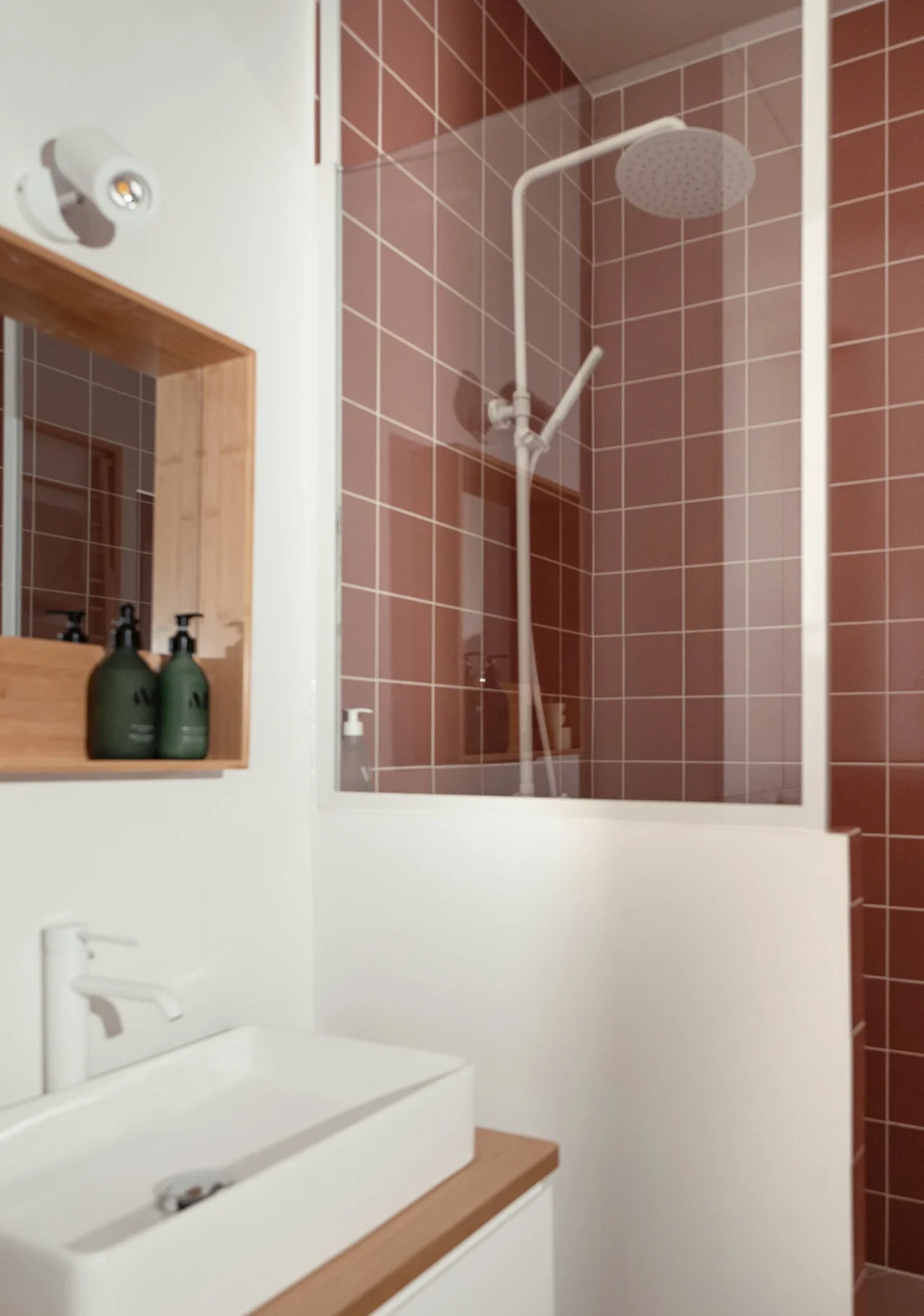 salle d'eau terracotta studio 12m2 Paris dans ancienne loge de gardien