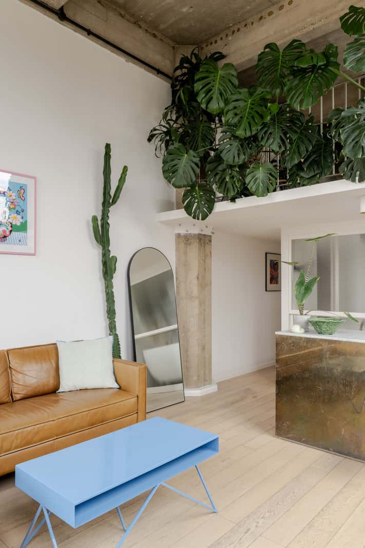 salon avec plantes vertes loft en duplex de 68m2 salon avec plantes vertes loft en duplex de 68m2