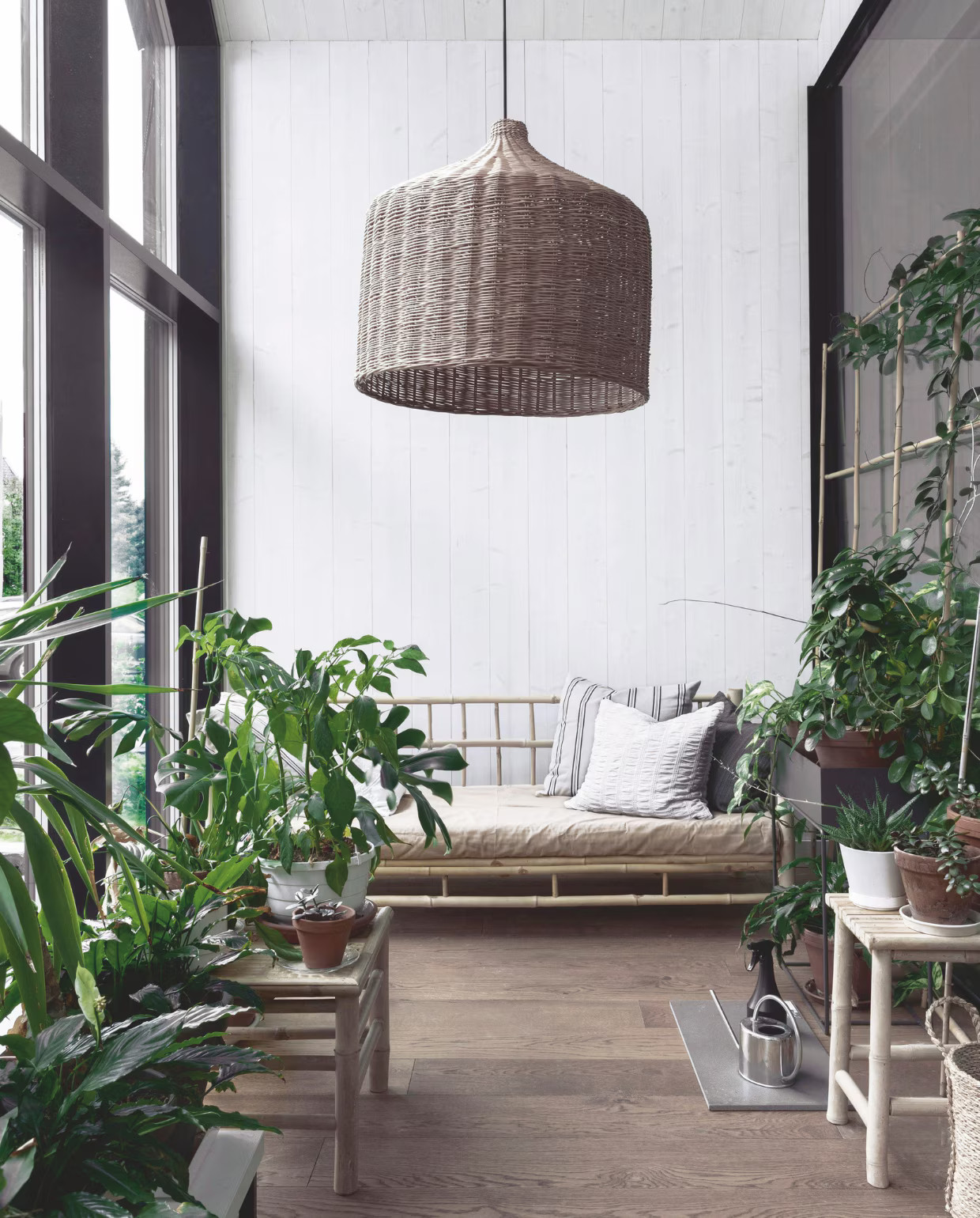 salon avec baie vitrée décoration contemporaine et naturelle avec plantes vertes salon avec baie vitrée décoration contemporaine et naturelle avec plantes vertes