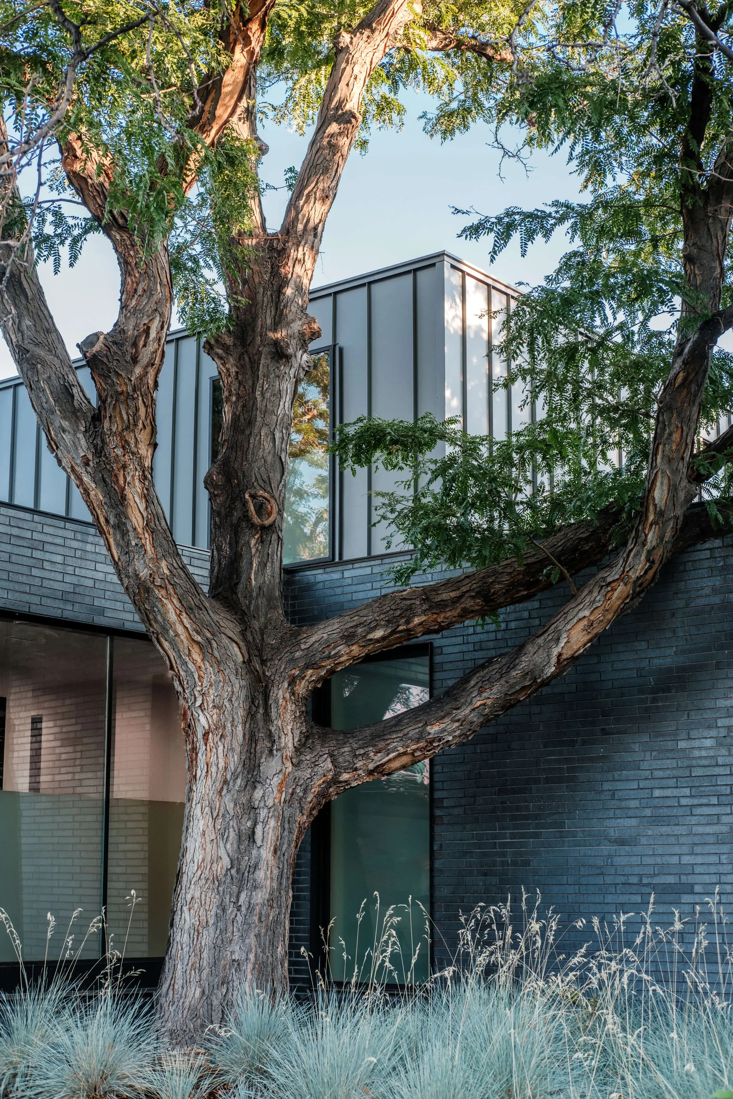 maison contemporaine