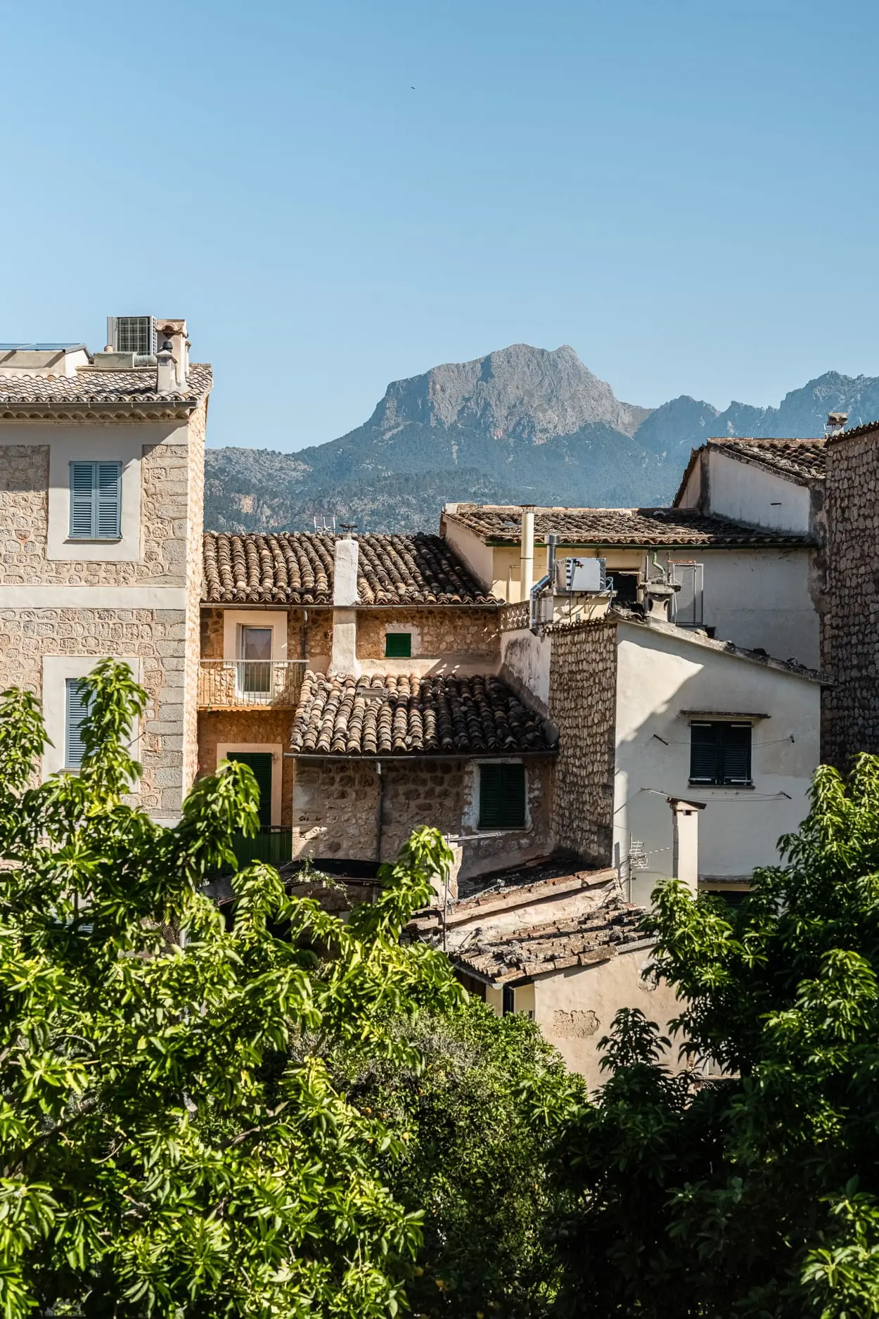jardin vue Serra de la Tramuntana