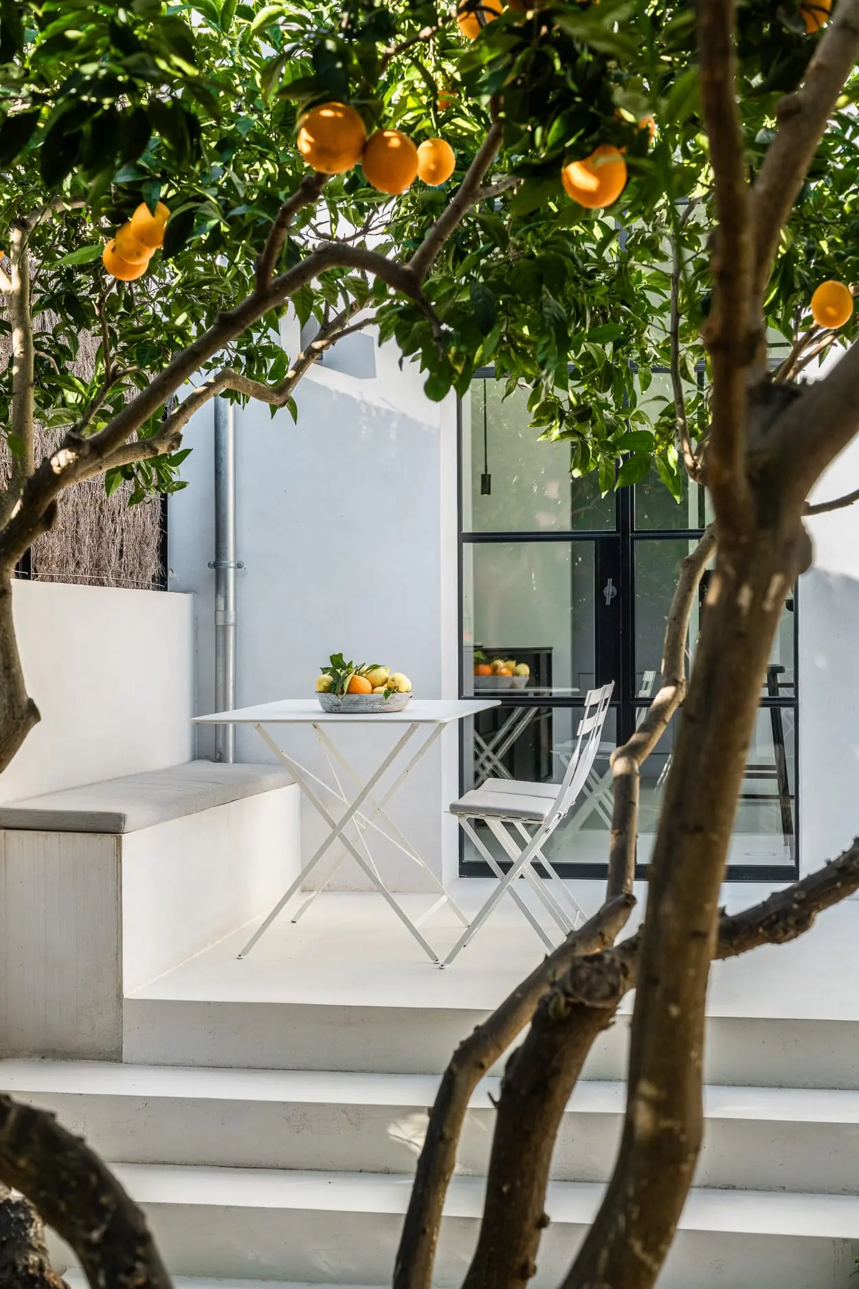 jardin maison de ville avec orangers