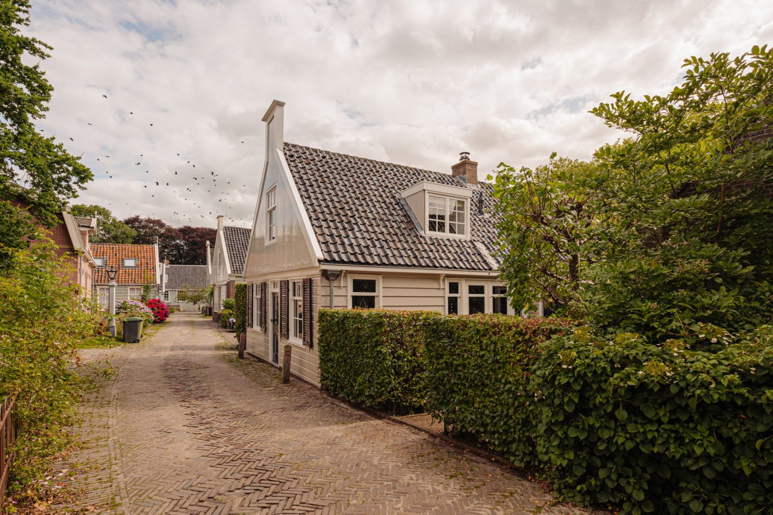 maison de ville ancienne avec jardin