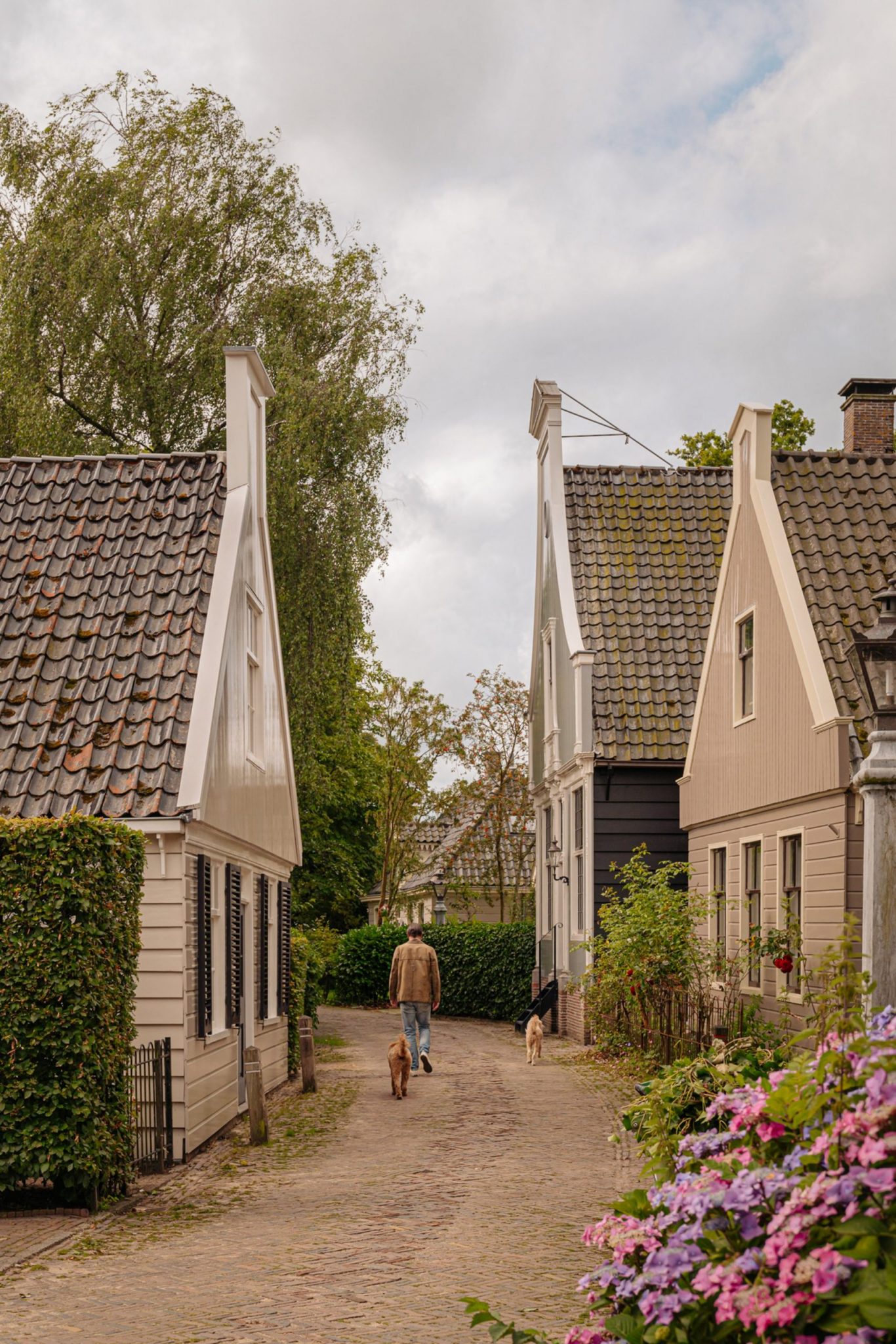 maison de ville ancienne avec jardin