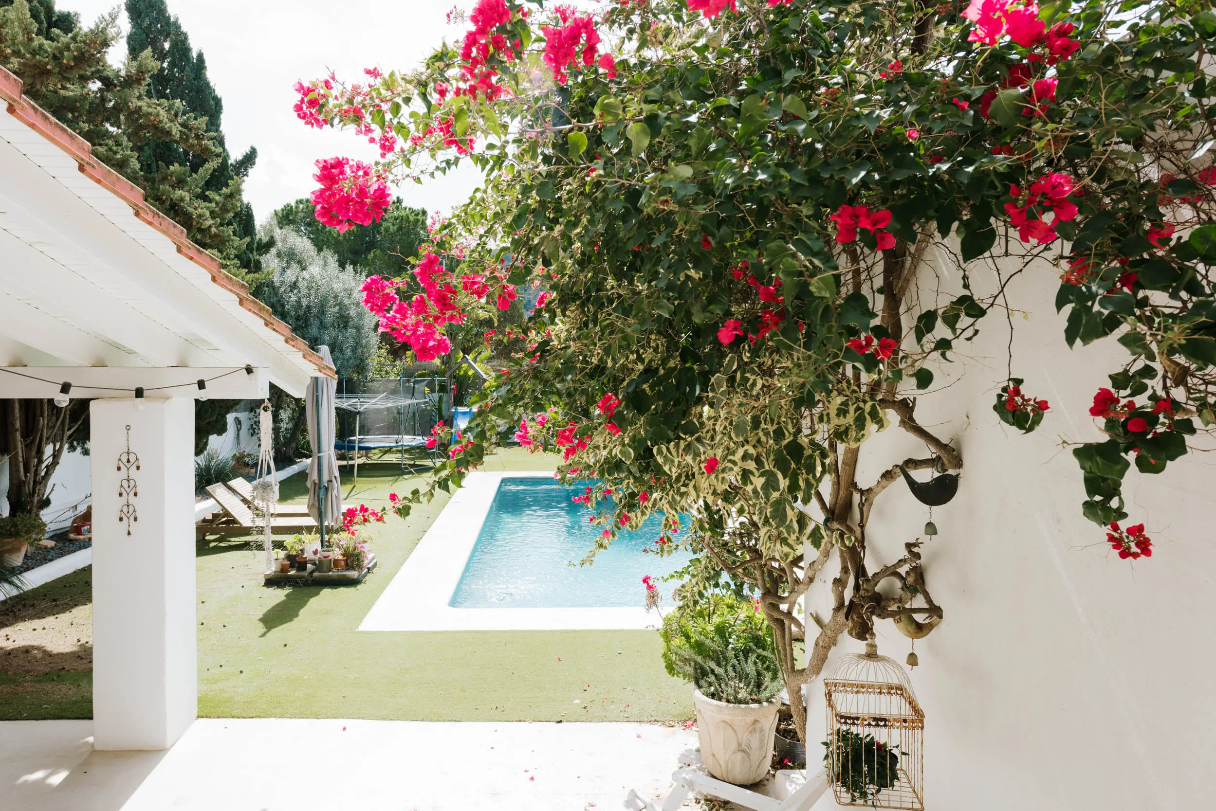 jardin maison Ibiza avec piscine