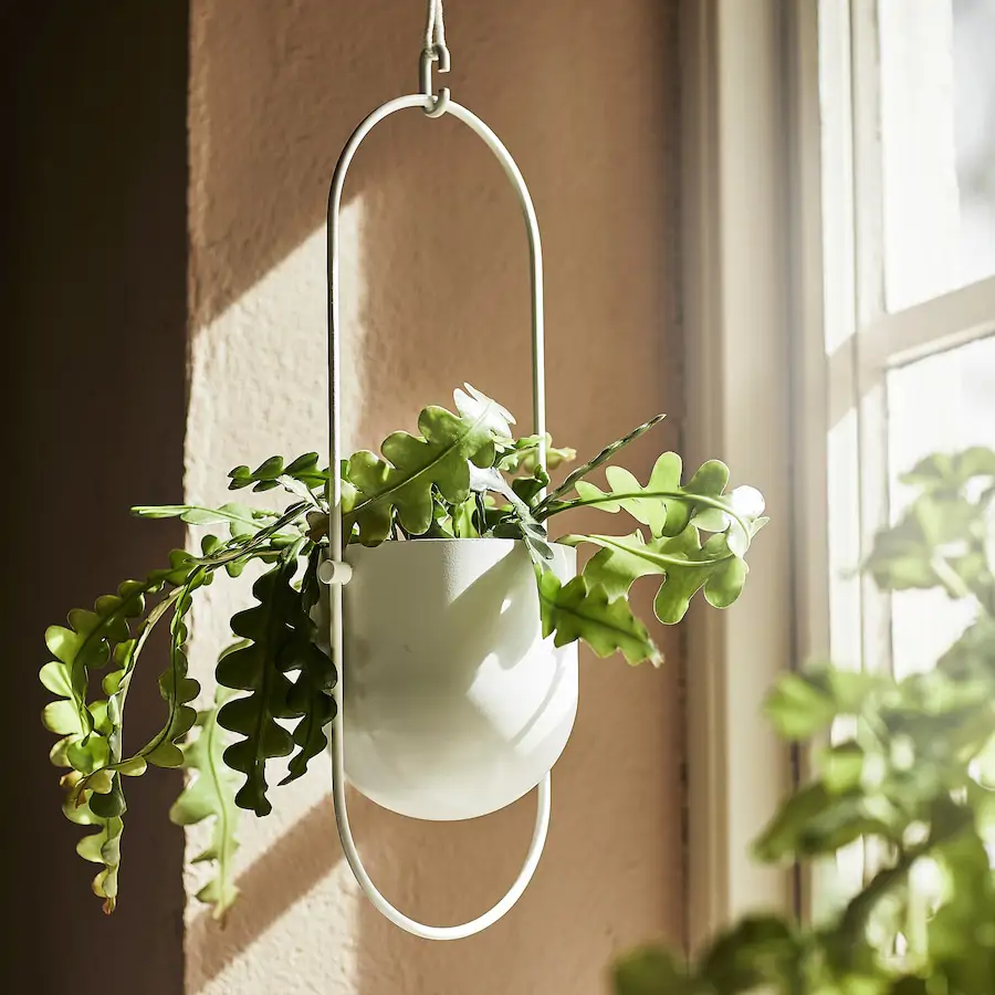porte-plante à accrocher IKEA porte-plante à accrocher IKEA