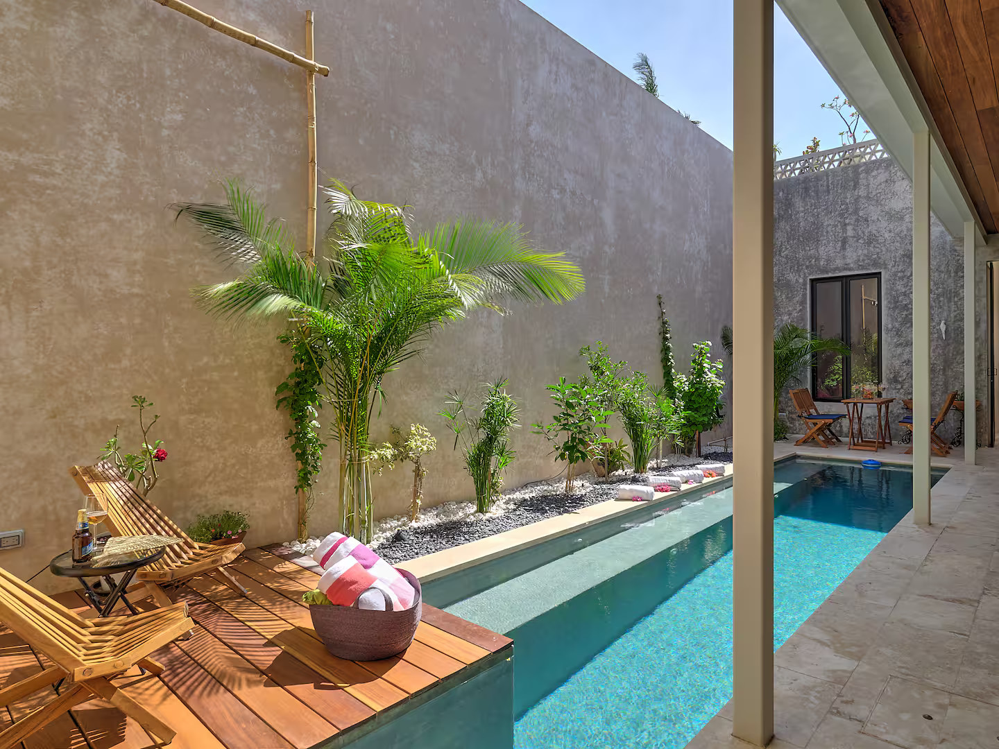 jardin maison avec piscine Mexique type couloir de nage jardin maison avec piscine Mexique type couloir de nage