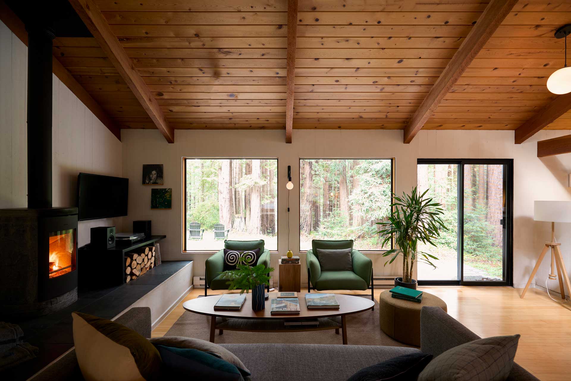 salon décoration contemporaine maison en bois