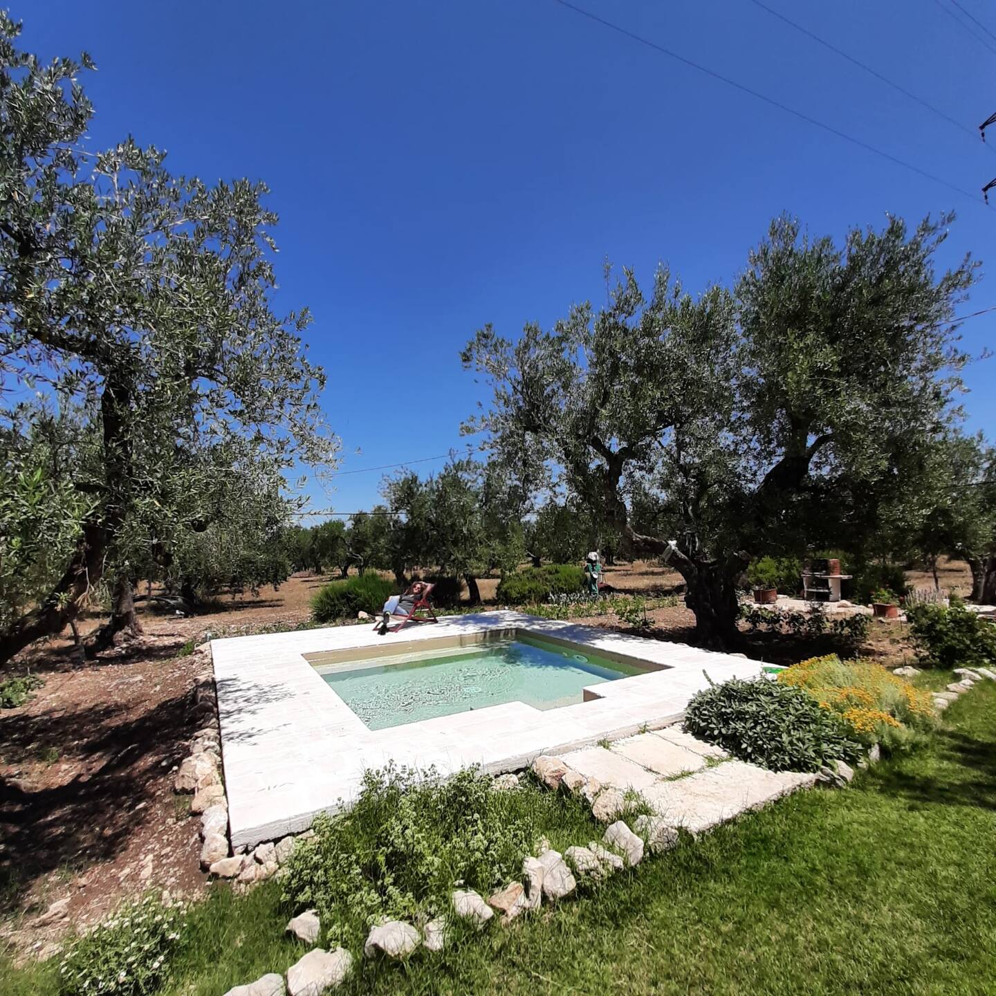 petite piscine entourée d petite piscine entourée d'oliviers maison dans les Pouilles