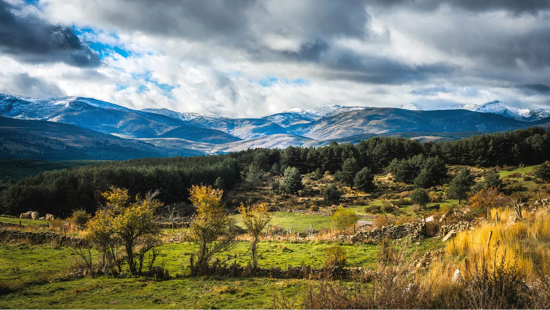 paysage campagne et montagne Espagne
