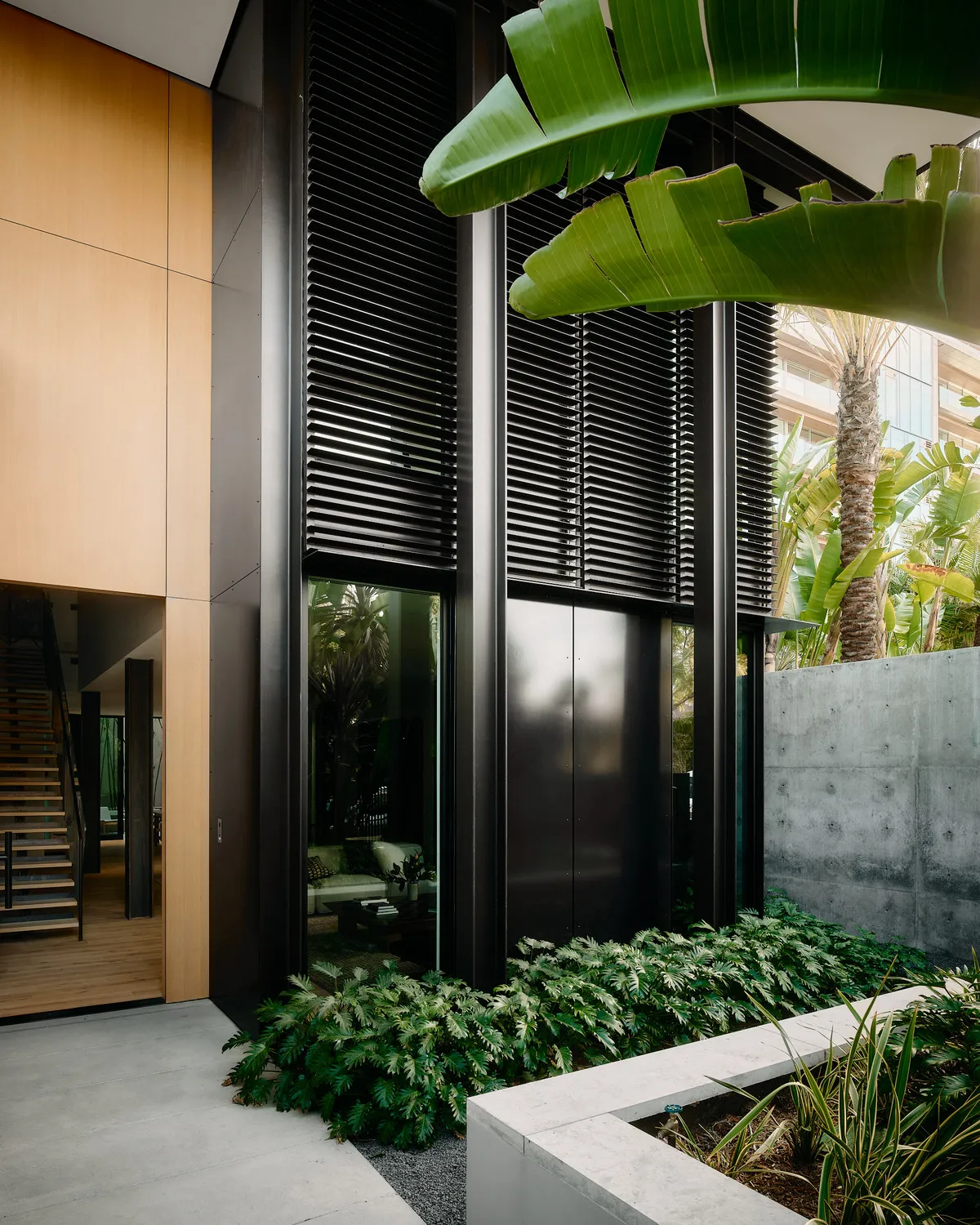 jardin maison contemporaine