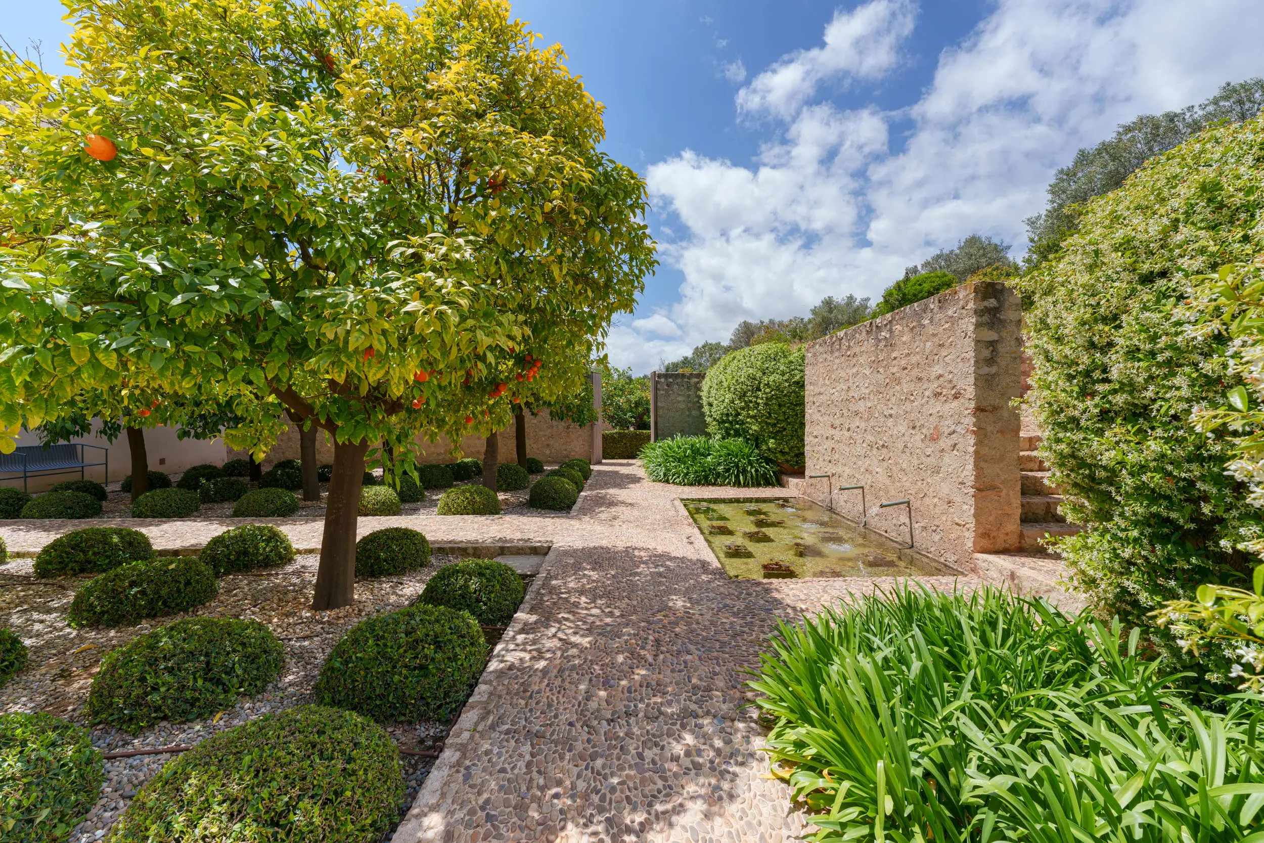 jardin méditerranéen