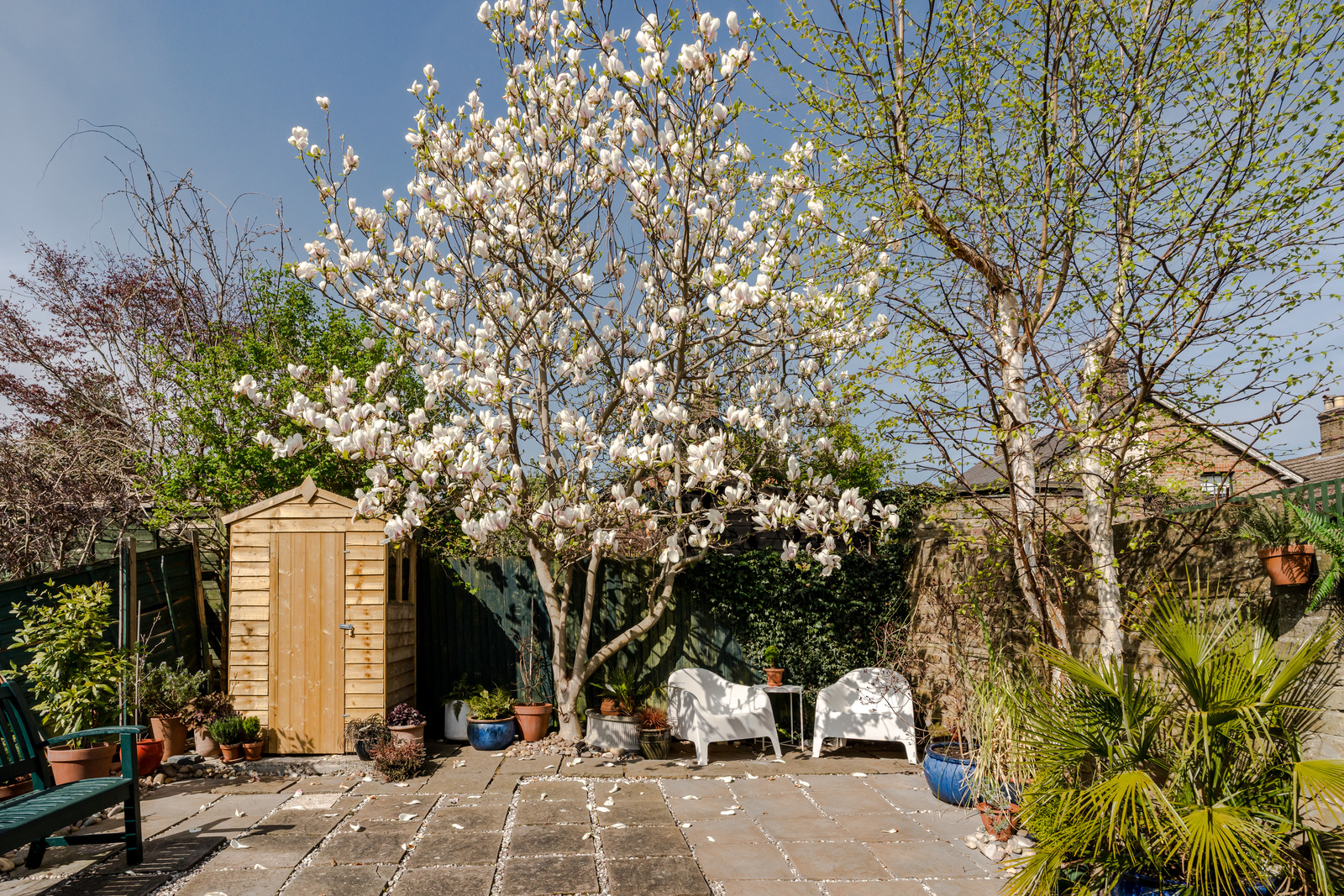 jardin maison de ville 81m2