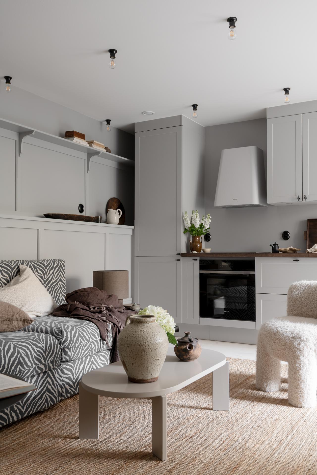 cuisine ouverte et salon deux-pièces 44m2 décoration scandinave murs gris
