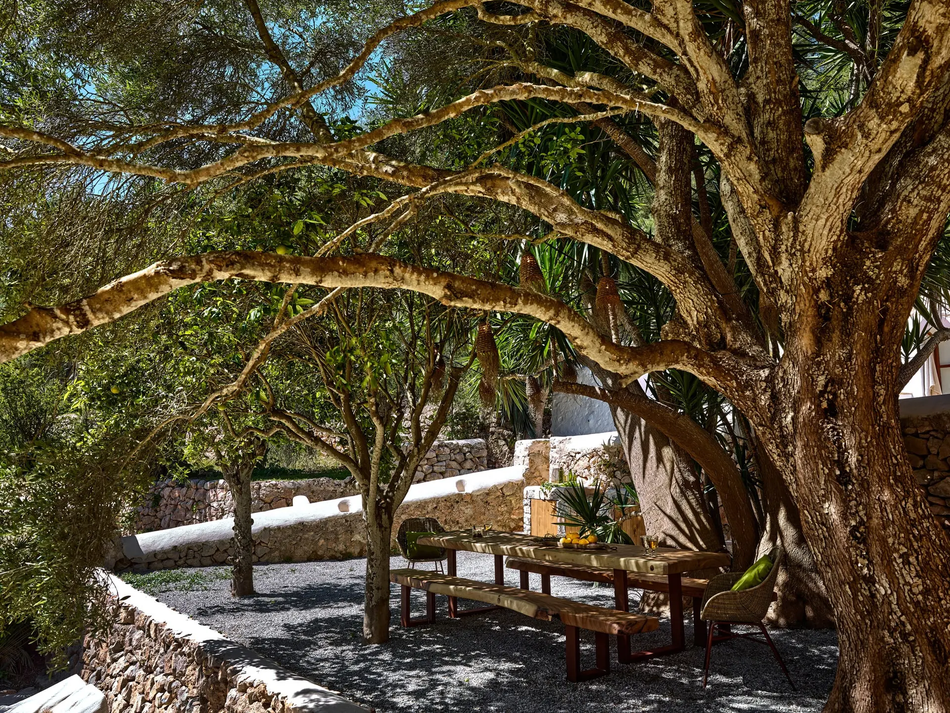 jardin maison en pierres avec piscine rénovée Ibiza