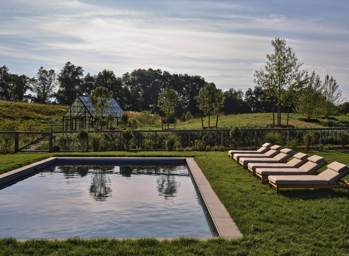 jardin avec piscine