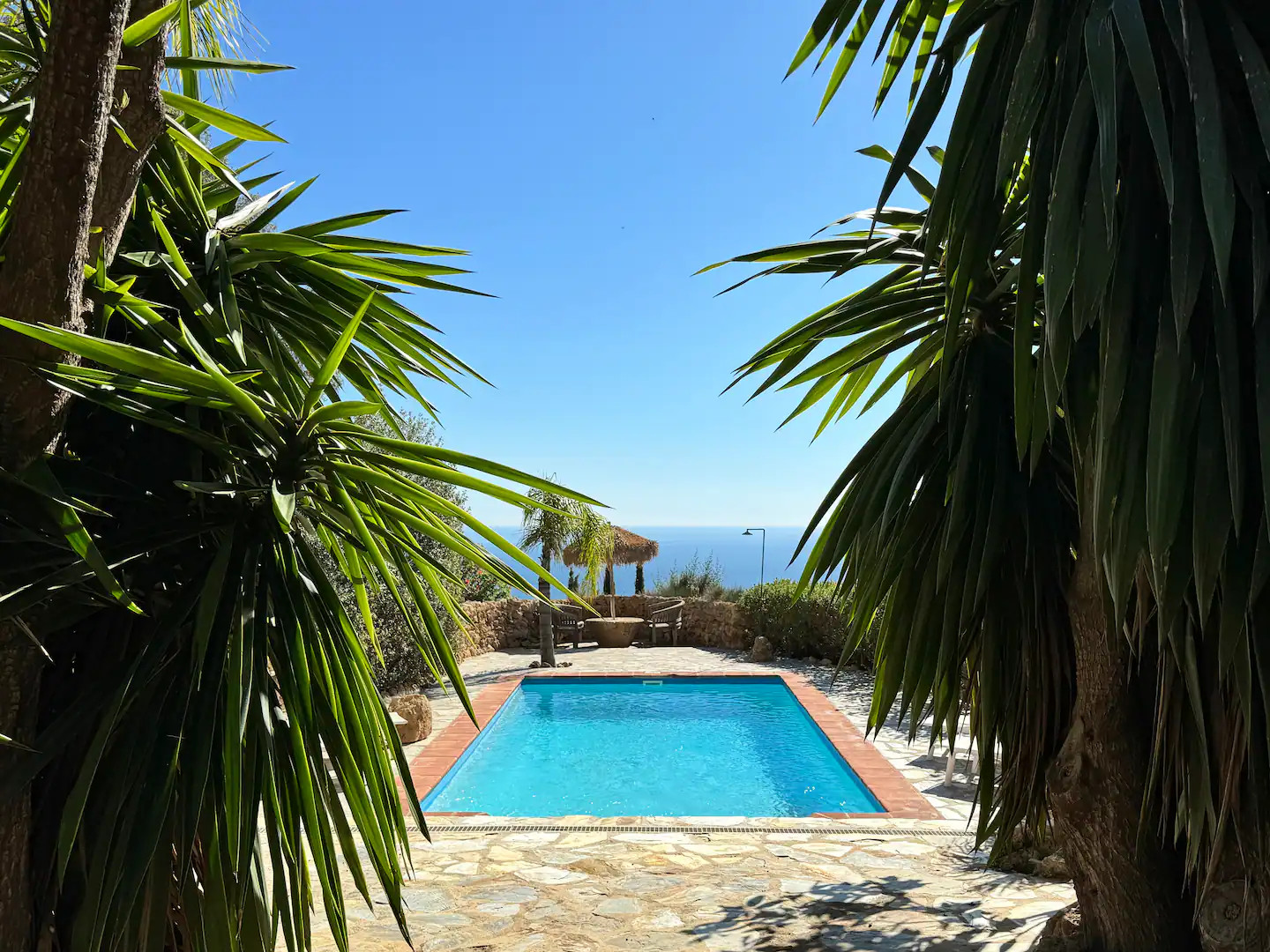 piscine dans jardin dominant la Méditerranée piscine dans jardin dominant la Méditerranée