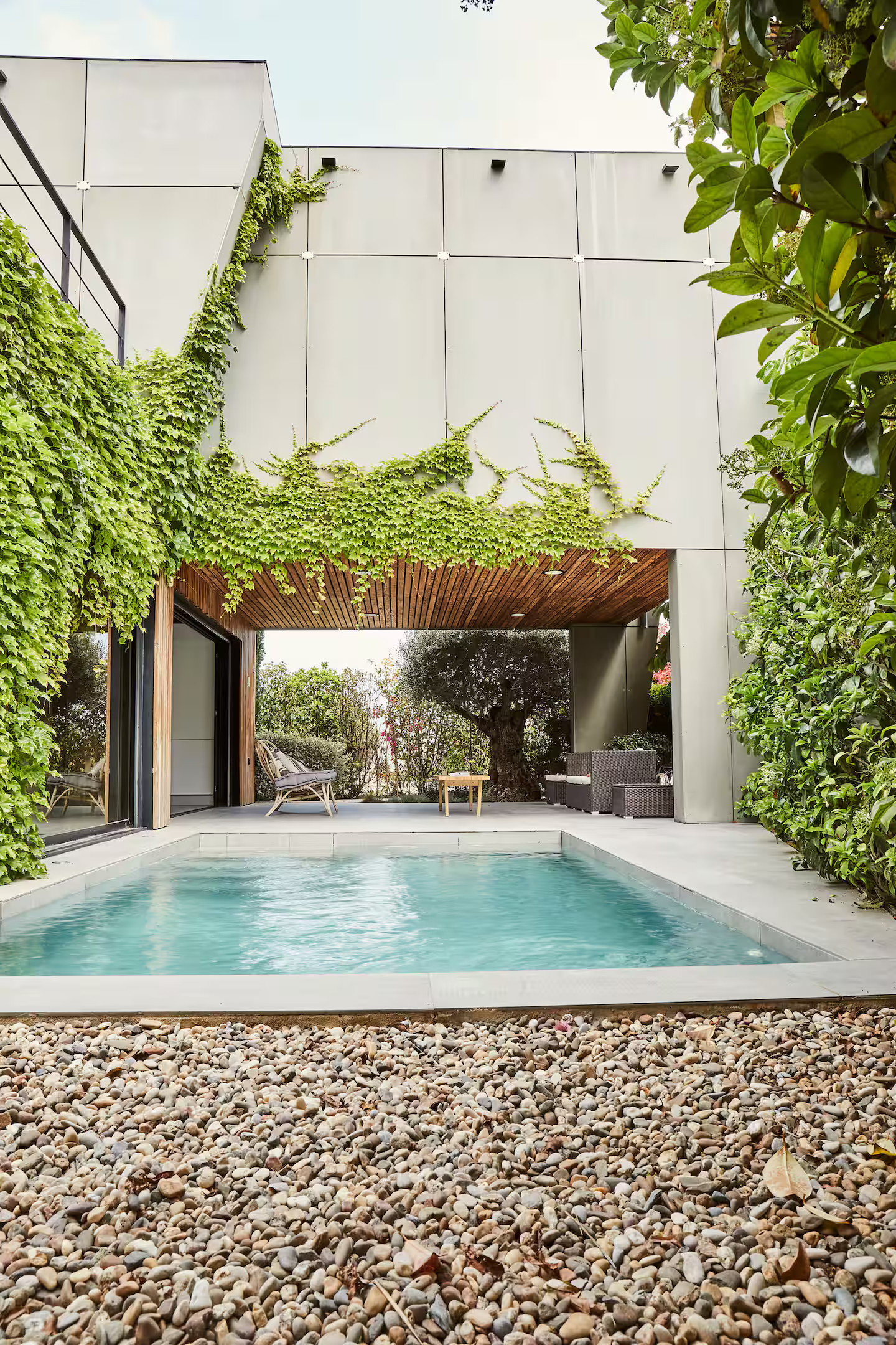 jardin avec piscine maison architecte