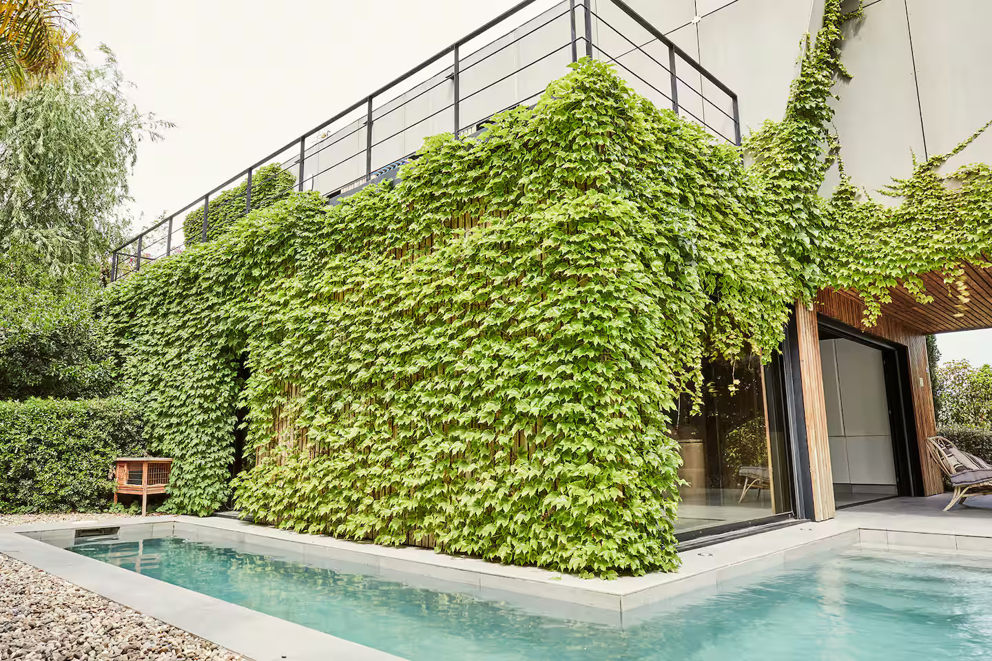 jardin avec piscine maison architecte