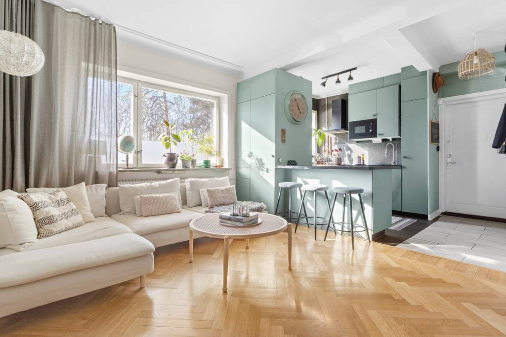 salon avec cuisine ouverte verte appartement 53m2