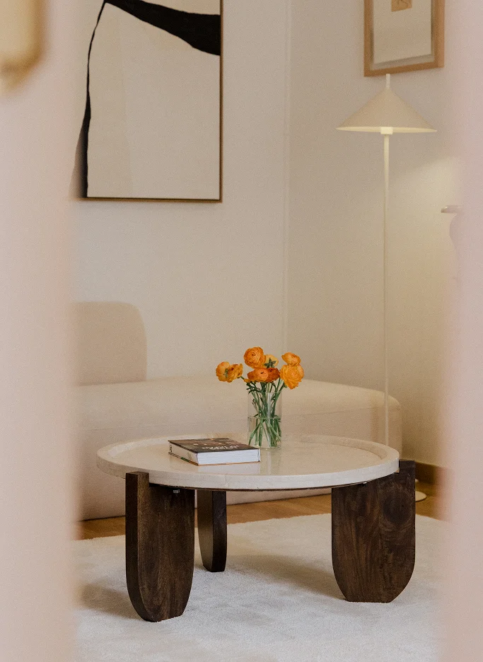 salon appartement Barcelone décoration contemporaine salon appartement Barcelone décoration contemporaine