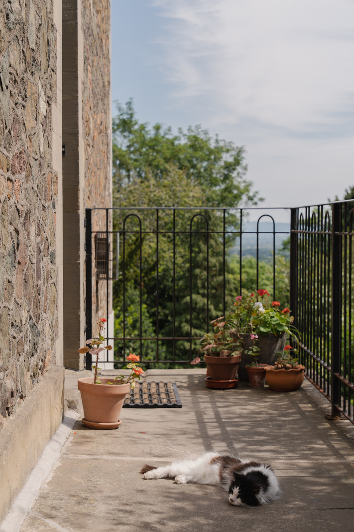 balcon avec chien qui dort