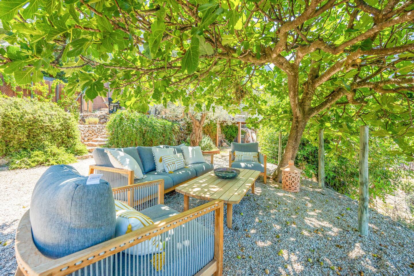 jardin avec figuier maison en pierres Majorque Els Abats