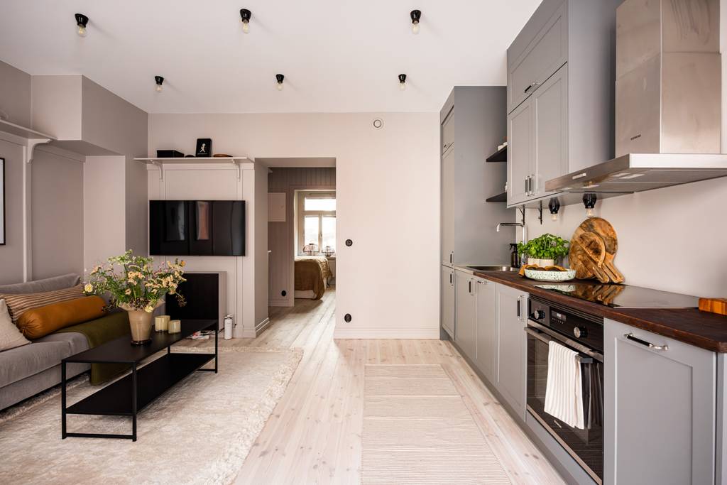 salon et cuisine ouverte grise décoration scandinave deux-pièces 40m2