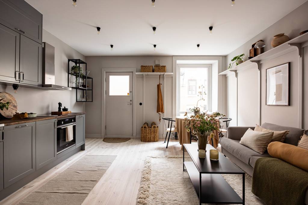 salon et cuisine ouverte grise décoration scandinave deux-pièces 40m2