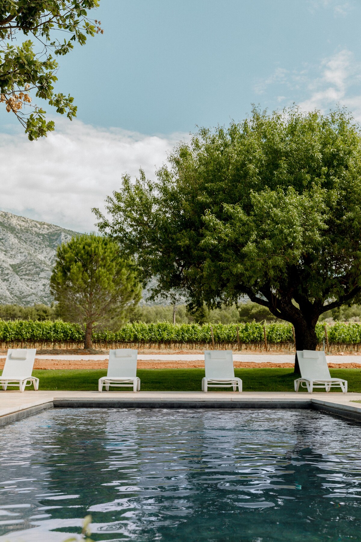 piscine maison Provence La Bastide Blanche maison MIP