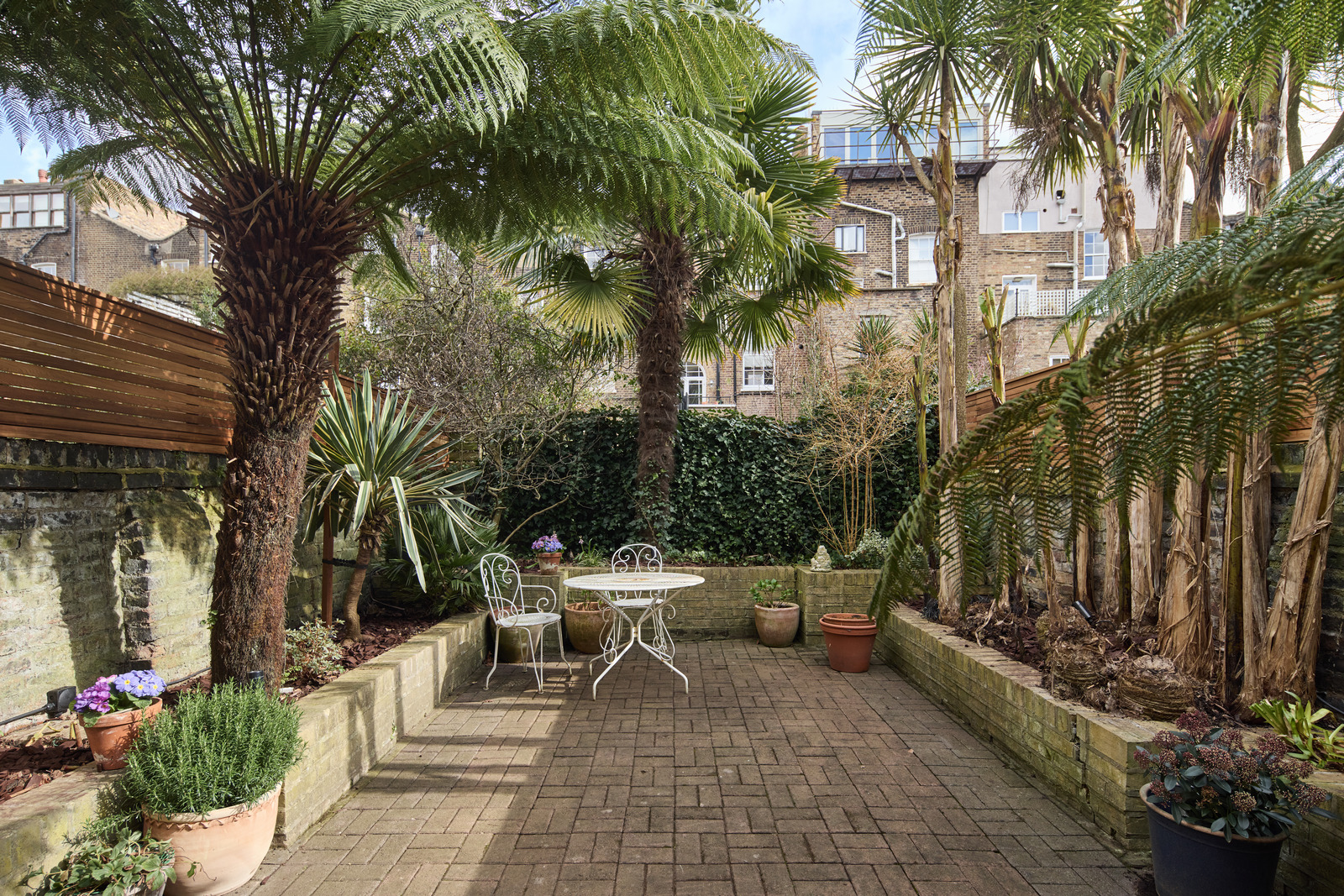 jardin de ville avec palmier maison Londres