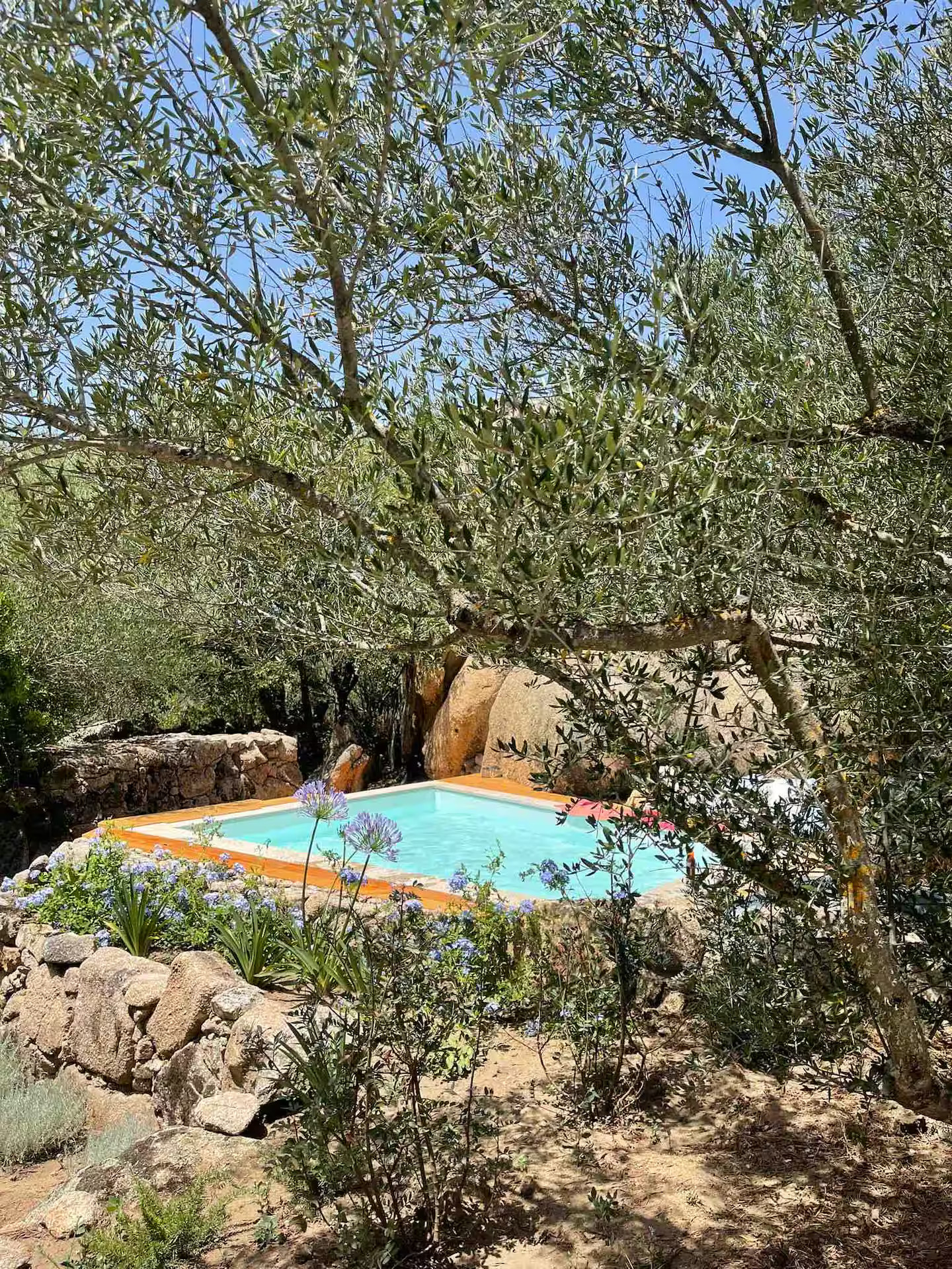 terrasse maison avec piscine Sardaigne terrasse maison avec piscine Sardaigne