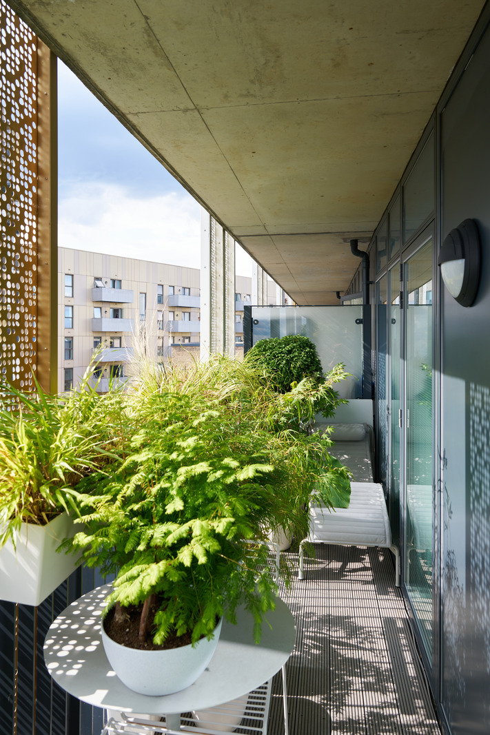 balcon abrité type loggia avec plantes vertes balcon abrité type loggia avec plantes vertes