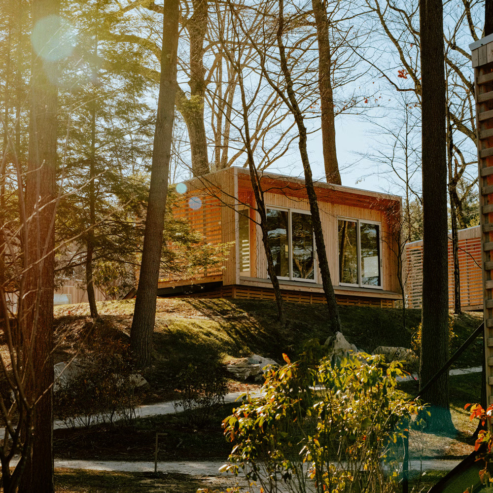 petite maison 37m2 en bois de cèdre