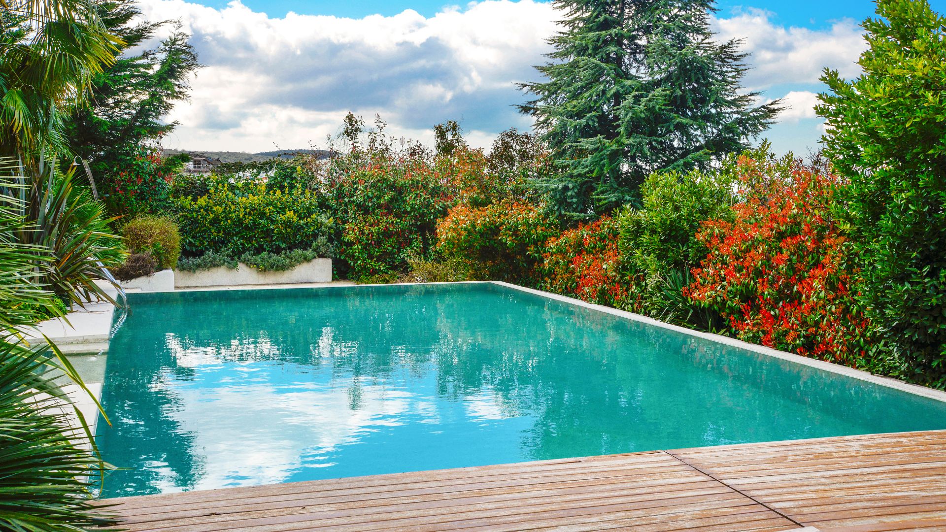 jardin avec piscine jardin avec piscine