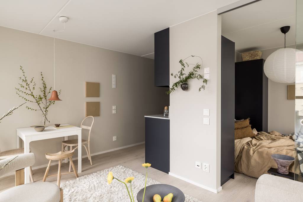 salon et chambre décoration contemporaine beige